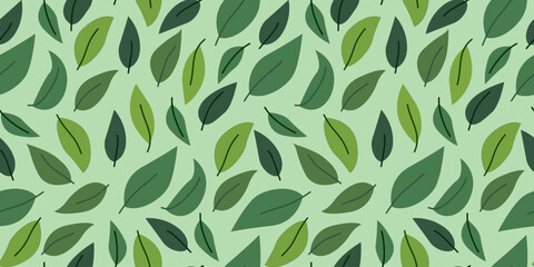 leaves vector pattern background. Green leaf seamless pattern. leaves pattern background. seamless patterns with green leaves.