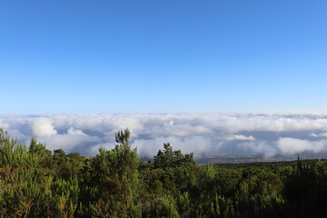 Sea of ​​clouds on the island of Tenerife