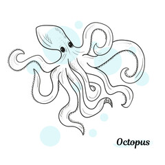 Vintage octopus. Hand drawn squid engraved ocean animal. Etching octopus vector illustration. hand drawing for fish restaurant menu and sea food