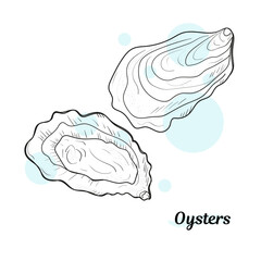 Closed oyster shell hand drawn sketch style vector illustration isolated on white background. Oyster hand drawing for fish restaurant menu and sea food