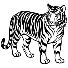 illustration of a tiger