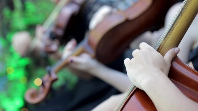 Violin concert. Musician playing violin outdoors. Violinist play music for the wedding. Violin under the open sky. Wedding music concept