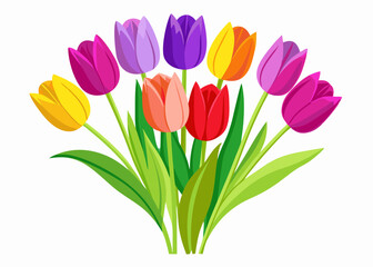 colorful tulips isolated vector illustration on white background