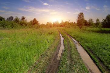 Naklejka premium puddles on dirt road in steppe