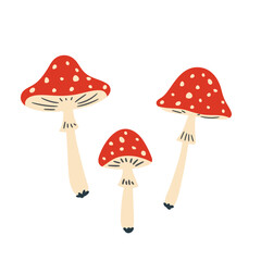 set of fly agaric mushrooms on white background, vector illustration in flat style