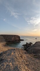 Papagayo of Lanzarote