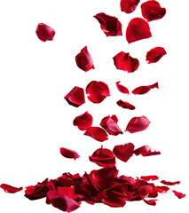A cascade of crimson rose petals falls against a black background, creating a romantic and elegant scene.