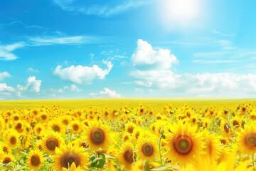 Obraz premium Sunflowers Field. Beautiful Yellow Sunflowers in Nature with Blue Sky Background