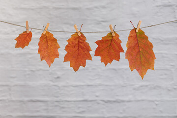 Homemade garland of colored autumn leaves. Dry leaves hanging on rope with clothespins on white brick wall background. Home diy decor for celebrating fall holidays, Thanksgiving and Halloween
