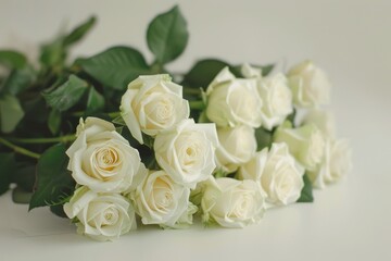 Close up white roses bouquet on white background for Valentine s Day and March 8