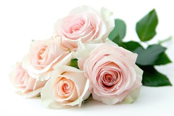Fresh roses on white background symbolizing a funeral