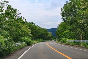 Fototapeta premium A Winding Road Through Lush Green Hills