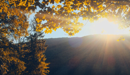 Mountain and forest view look during sunny day sunset in autumn, orange leaves in sun light as...