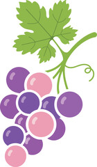 Seamless pattern of cute grapes, white background 31475