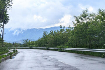 A Serene Rainy Journey Along the Verdant Countryside Road
