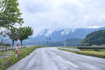 A Serene Rainy Journey Along the Verdant Countryside Road