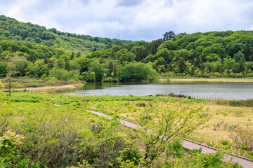 Serene Wetland Vista with Boardwalk Trail, Akita, Japan