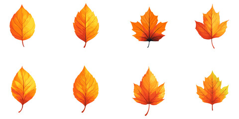 Fototapeta premium set of autumn fall leaves. isolated on white.