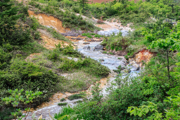 Scenic Natural Stream Flowing Through Lush Forest, Goshougake Onsen, Akita, Japan
