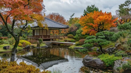 Japanese maple in autumn garden landscape