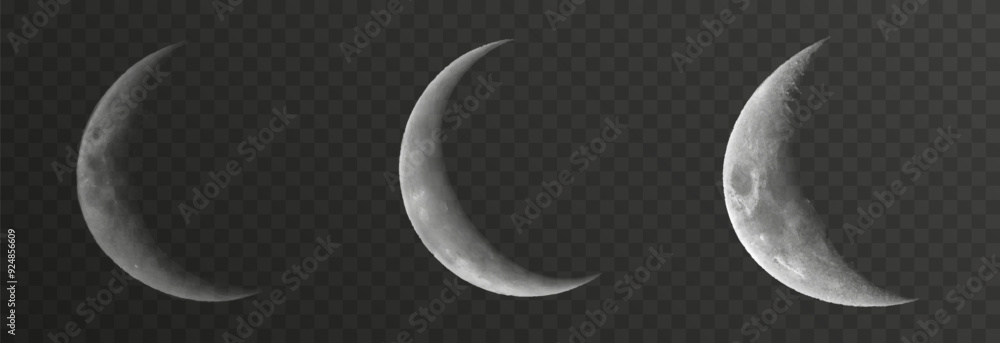 Wall mural set of realistic vector moon on an isolated transparent background. moon vector png.
