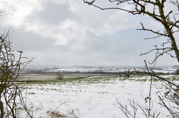landscape with snow. View throw the branches.