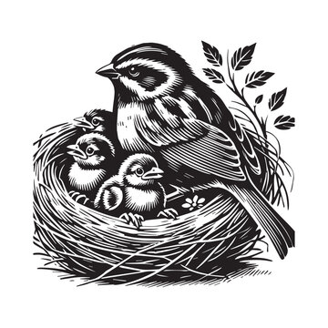 recommend clip art: White-throated sparrow silhouette, Sparrow Bird Clipart, White-throated Sparrow nest with chicks illustration 