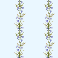 Bell flowers. Wild flowers, seamless pattern. Floral vertical border. Design for textiles, wallpaper and paper.