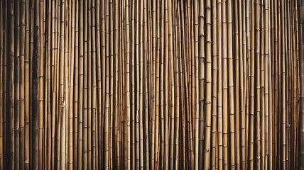 Dry bamboo wall texture background. the background is from part of a fence made of bamboo trunks. barrier of bamboo sticks