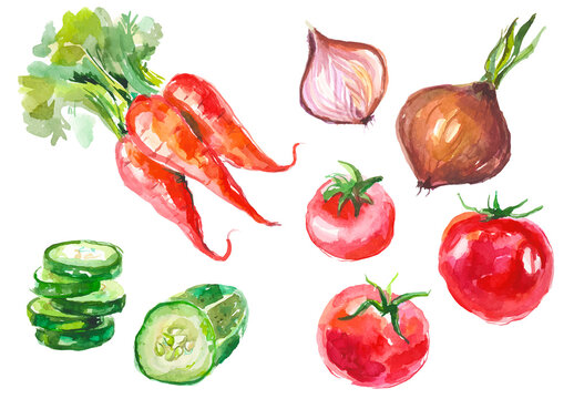 Watercolor painted collection of vegetables. Hand drawn fresh food design elements isolated on white background.