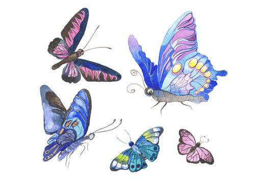Vector illustration of watercolor butterflies isolated on white background