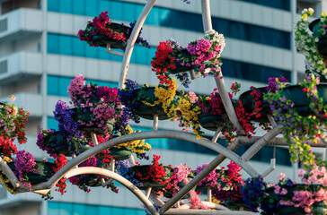 fresh flowers in the city park and high skyscrapers in Russia