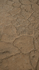 Closeup of weathered stone pavement showcasing rustic texture in mallorca, spain outdoors highlighting natural landscape and ancient architecture