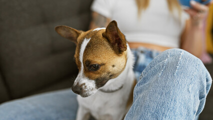 A young blonde woman lovingly cuddles her attentive jack russell terrier on a cozy sofa indoors.