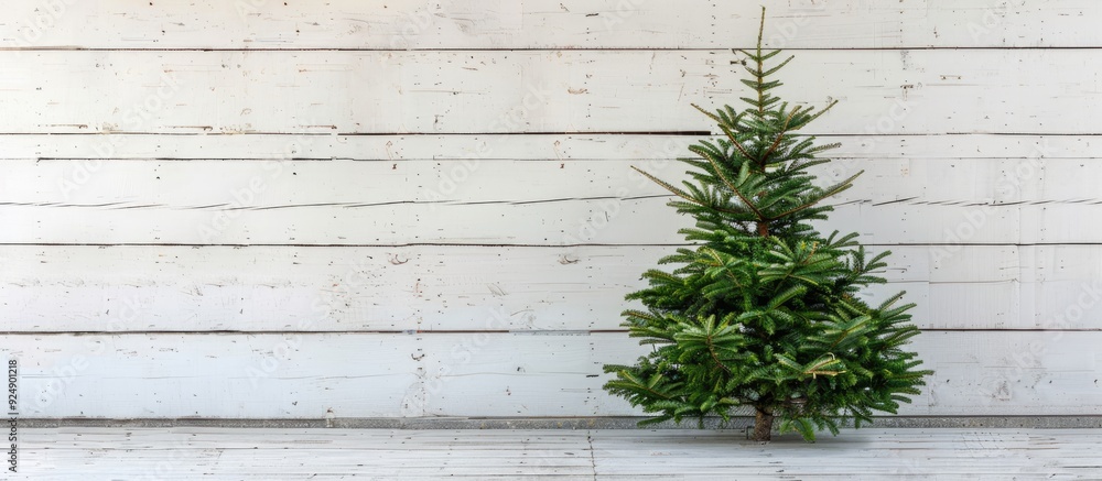 Poster festive christmas fir tree displayed against a white wooden backdrop with copy space image