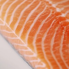 Raw salmon and steak fillet fresh seafood closeup isolated on white