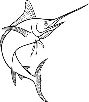 recommend clip art: swordfish vector outline black and white illustration