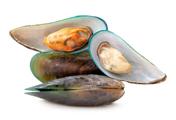 Front view of steamed or cooked green mussels in stack isolated on white background with clipping path
