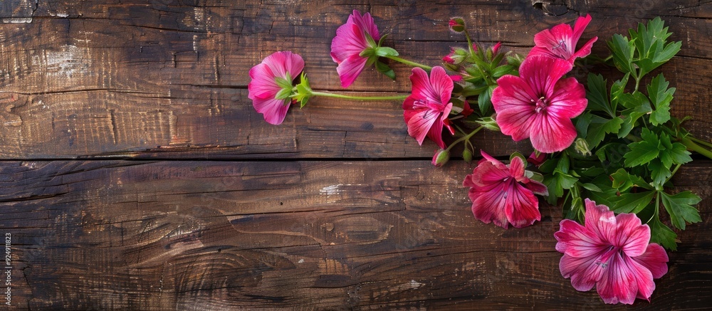 Leinwandbilder Geranium flowers displayed on a rustic wooden board with empty space for text or images. Creative banner. Copyspace image