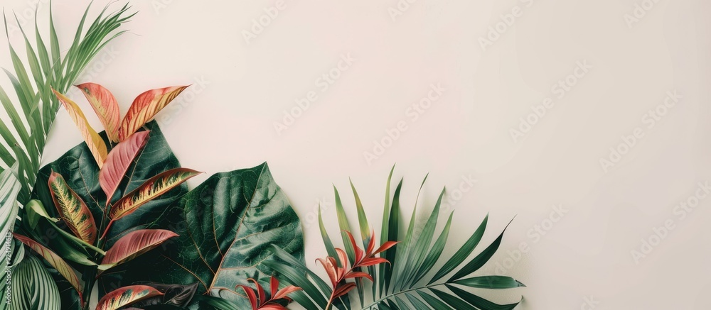 Poster minimal summer arrangement featuring colorful tropical leaves on a white backdrop enhancing an exoti