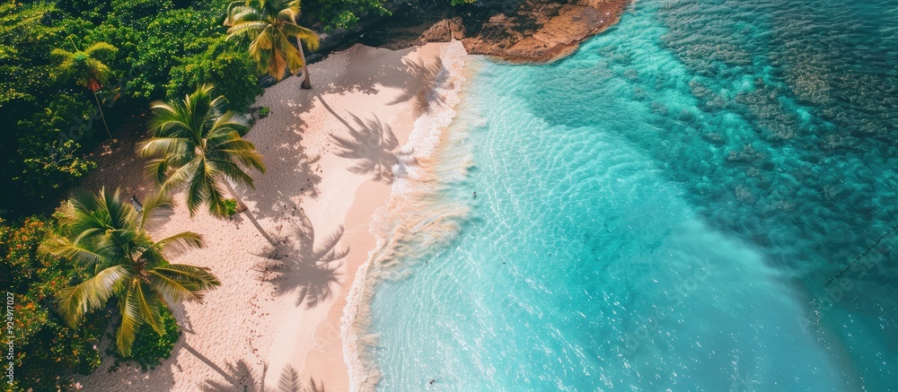 Poster scenic tropical beach with clear turquoise waters palm trees and an aerial view captured by a drone 