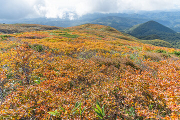 宮城県 秋の栗駒岳の紅葉登山