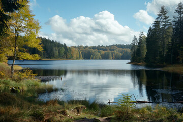 A lake in the forest