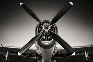 engine of an historical fighter plane