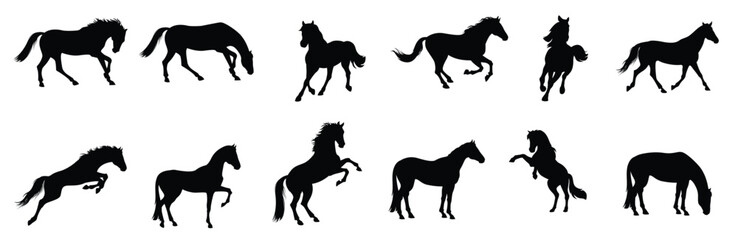 Set horses silhouettes collection isolated white