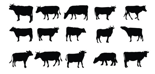 Cows silhouette collection.