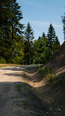 A path in quarry and forest