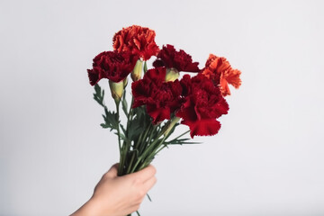 generated illustration of hand holding bunch of carnation flower