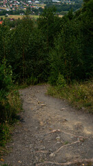 A path in quarry and forest