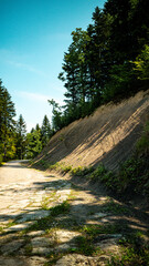 A path in quarry and forest